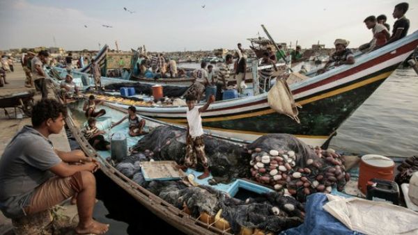 Yemeni officials say key port city of Hodeida calm (Twitter)