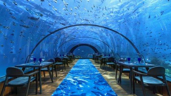 Amazing underwater restaurant (Twitter)