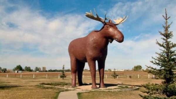 World's tallest moose statue (Twitter)