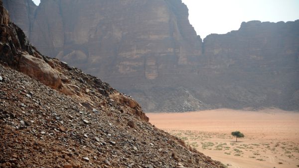 Southern Jordan (Shutterstock)