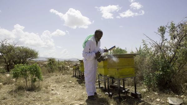 This is not the first time an Ethiopian court has sentenced individuals for al-Qaeda or al-Shabaab links. (AFP) 