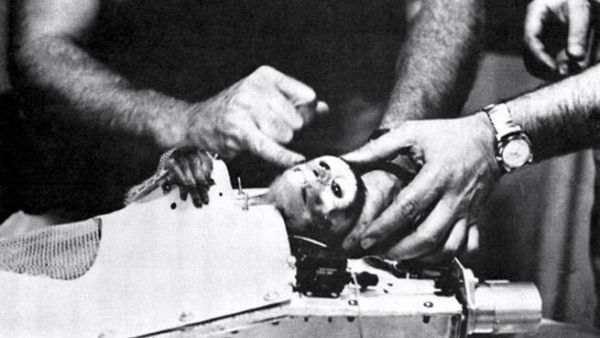 A sci-fi lover's dream: Iran set to send a monkey into space (picture courtesy of Grasscity).
