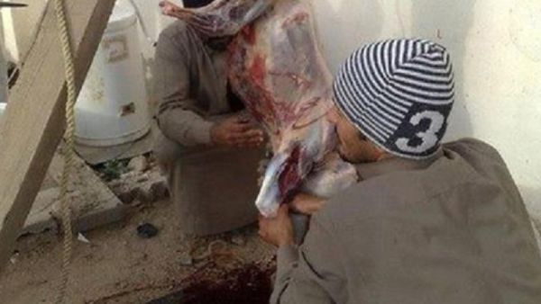  يجد محبو لحوم الضباع فيها طعما فريدا ومفعولا اقوى من المنشطات الجنسية.