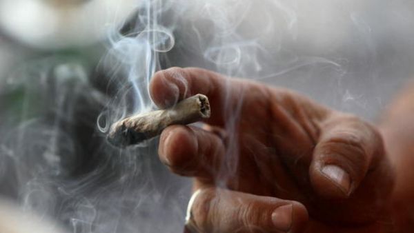 بيع الماريجوانا عقوبته الإعدام في الإمارات