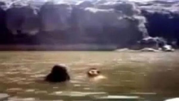 غرق العروسان اليمنيان في حوض ماء اشتهر بابتلاع السابحين فيه بحيث يجد الأهالي الملابس دون جثث!.  