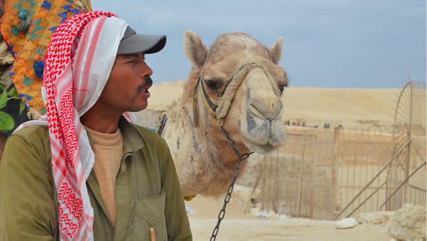 The first story by Ahmed, from Egypt, highlights the life of a camel driver near the famous Pyramids in the Giza area. The first story by Ahmed, from Egypt, highlights the life of a camel driver near the famous Pyramids in the Giza area.