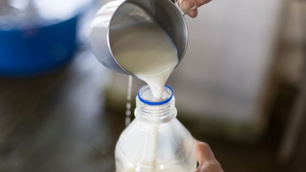 طريقة صنع لبن العيران في المنزل  طريقة صنع لبن العيران في المنزل