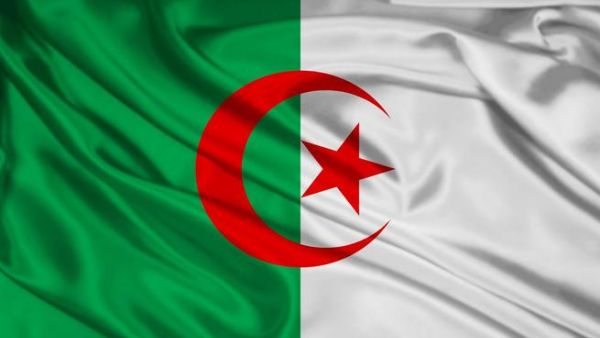 أعضاء الشبكة تم إيقافهم مطلع عام 2017 بغرداية، الولاية التي كانت شهدت أعمال عنف دموية عامي 2014 - 2015