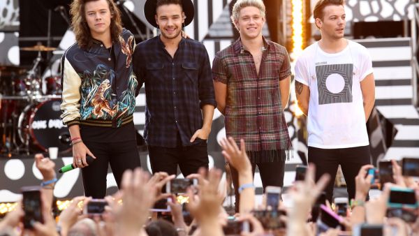 One Direction  (Shutterstock)