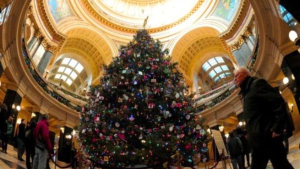 شجرة عيد الميلاد.