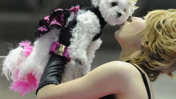 سيدة أردنية أقامت حفل عيد ميلاد لكلبها بكلفة 42 ألف دولار!