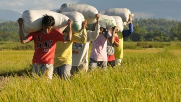 العامل الفليبيني أكثر انضباطا من مثيله السعودي!! العامل الفليبيني أكثر انضباطا من مثيله السعودي!!