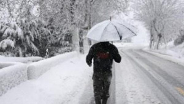 العاصفة اليكسا