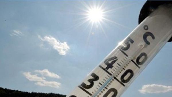 اللبناني لما يشوب