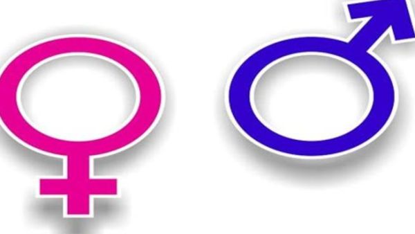 المرأة والرجل المرأة والرجل