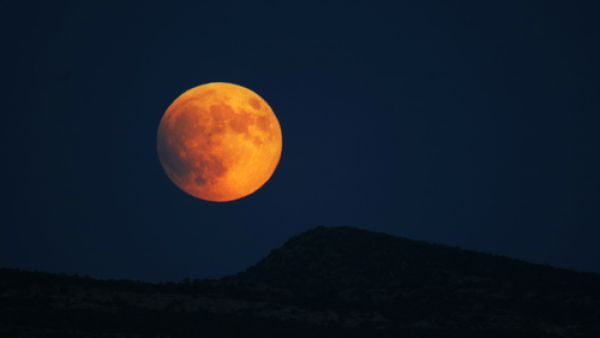The Moon will be 356,509 km closer to Earth, the closest it has been to Earth since 1948.   (Shutterstock)