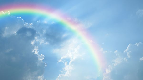 (Shutterstock/ File Photo)