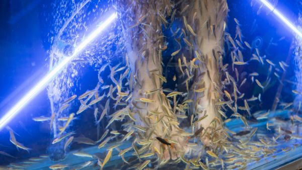 (Shutterstock/ File Photo)