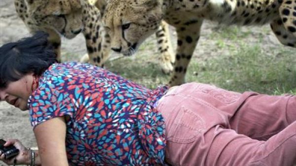 السيدة بين الفهود