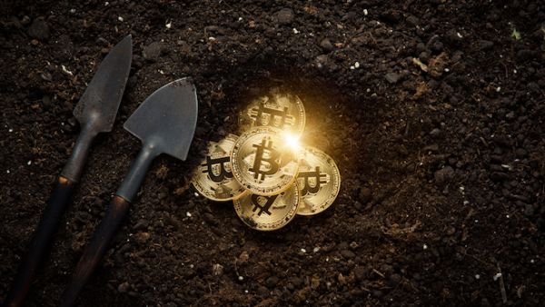 In the study, researchers at University of Hawaii at Manoa examined how the rapid increase in the use of cryptocurrency like bitcoin would harm the climate. (Shutterstock)