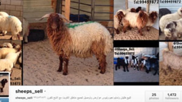 @sheeps_sell found the best way to share their wares is through twitter.