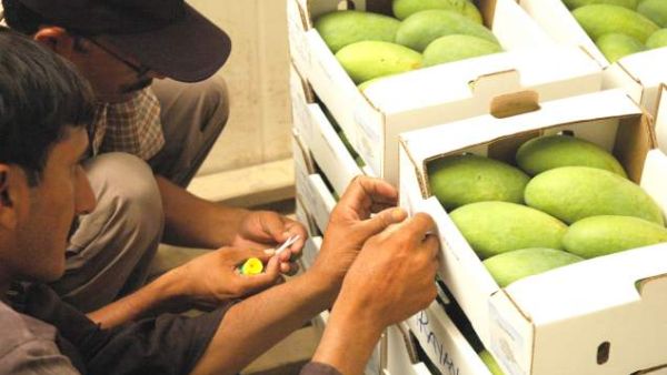 Imported goods from parties that have free trade agreements with Egypt such as the EU, the COMESA African grouping, the Arab region and Turkey would not by affected by the new decision.