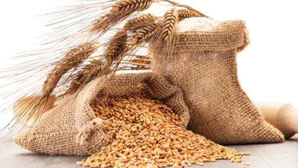 If Egypt's local wheat procurement numbers were misrepresented, it may have to spend more on foreign wheat purchases to meet local demand. (Shutterstock)