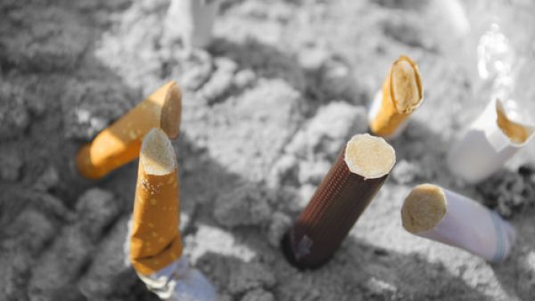 All fines collected will be allocated to support efforts to raise awareness on the harmful effects of smoking and tobacco products across the Kingdom. (Shutterstock)