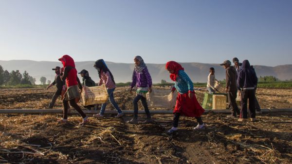 The report outlines the dynamics that force children to work instead of attend school. (ILO/Tabitha Ross)