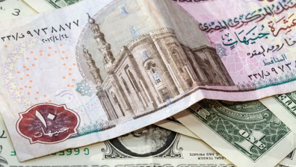 Egypt's black market is now seeing uncertainty, forcing traders to temporarily abstain from selling or buying dollars. (Shutterstock)
