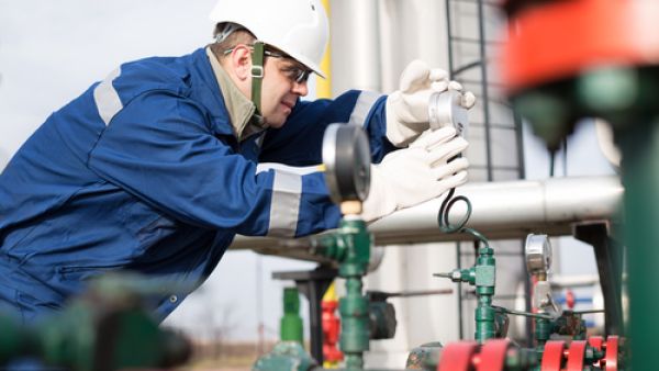 The plant, which began operating around 10 months ago, contributes 20 per cent of the total power supply in the Kingdom. (Shutterstock)