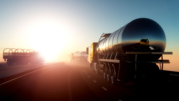 Last month, Egypt had not received October allocations of petroleum aid from Saudi Arabia, forcing its state oil buyer to rapidly increase tenders. (Shutterstock)