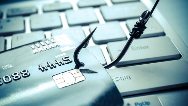 Recent cases include busting a fake recruitment agency, money fraud, and manipulation of university degree certificates. (Shutterstock)