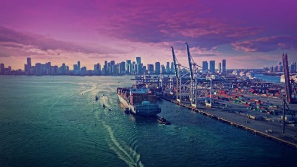 The total number of multinational companies that signed agreements in Al Mazunah Free Zone exceeds 75. (Al Mazunah)