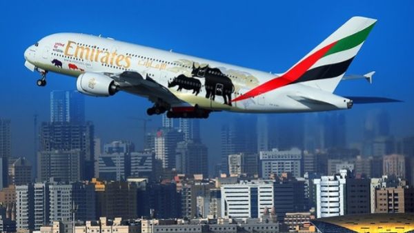 Emirates is trying to raise awareness about the threat the trade in illegal wildlife poses to the survival of some of the planet’s most endangered and iconic animals. (Twitter)