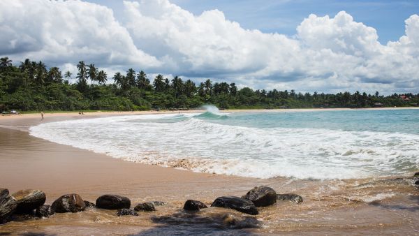 A trip to Sri Lanka complete with pristine beaches, historic temples, and tea plantations in the mountains doesn't have to break the bank. (Lindsey Leger)