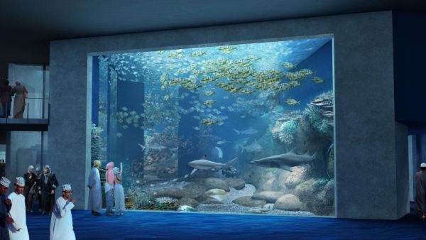 The ocean tank will have 1.7 million litres of sea water and will be stocked with fish and sharks from the coasts of Oman.  (Crossley Architects)