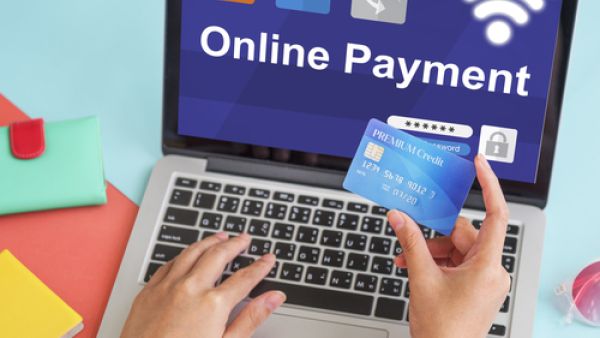 The regulations specify four licence categories under which entities can provide digital payments services: retail, micropayment, government and non-issuing. (Shutterstock) 