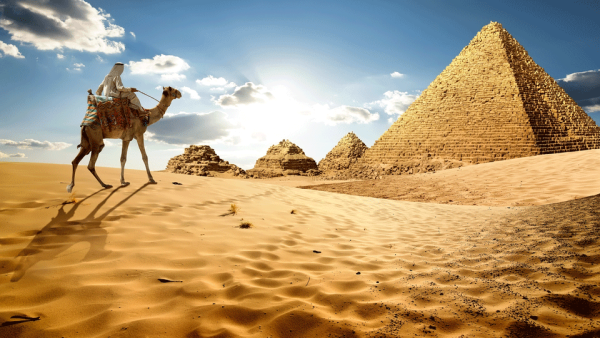 The real estate sector will prosper by 2020 following the implementation of 14 new cities in Egypt which are worth about EGP 388bn. (Shutterstock)