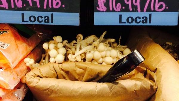 Pom-Pom mushroom (Twitter)