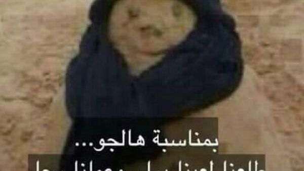 موجة الغبره تجتاج الاردن