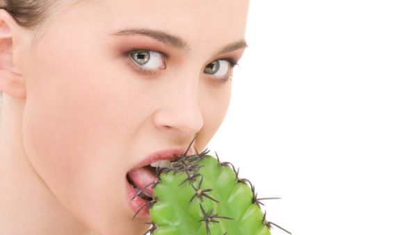 تعددت استخدامات نبات الصبار في علاج الكثير من الأمراض
