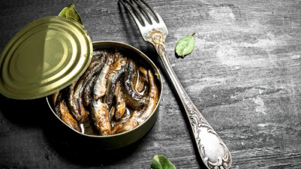 السردين المعلب قد يحتوي على الزئبق المسبّب للتسمّم السردين المعلب قد يحتوي على الزئبق المسبّب للتسمّم