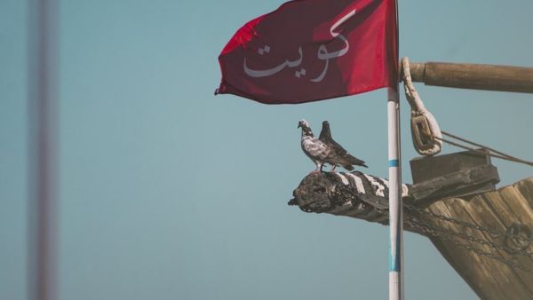 Kuwait Celebrates 58th National Day. (Twitter)