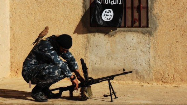 A Daesh militant in the de facto capital of Raqqa. (Twitter)