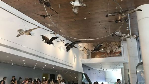  Natural History Museum (Twitter)