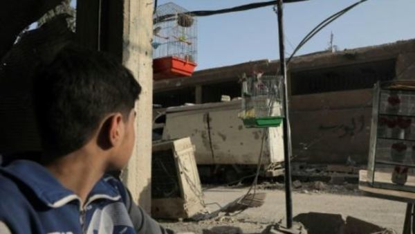 طفل ينظر الى عصافير في مبنى هدمه القصف في دوما في الغوطة الشرقية قرب دمشق
