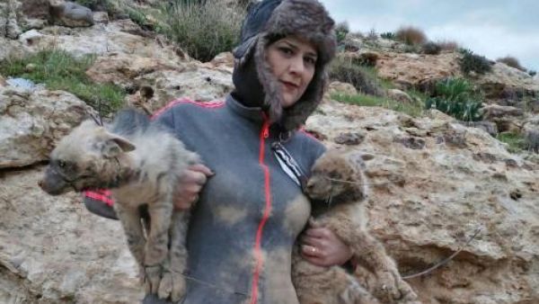 صورة ماخوذة من الفيديو