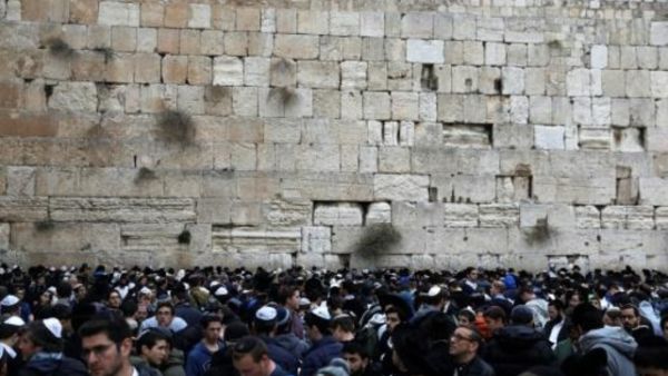 صلاة جماعية لليهود عند حائط المبكى طلبا للامطار
