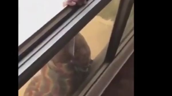 توقيف كويتية لتصويرها محاولة انتحار خادمتها